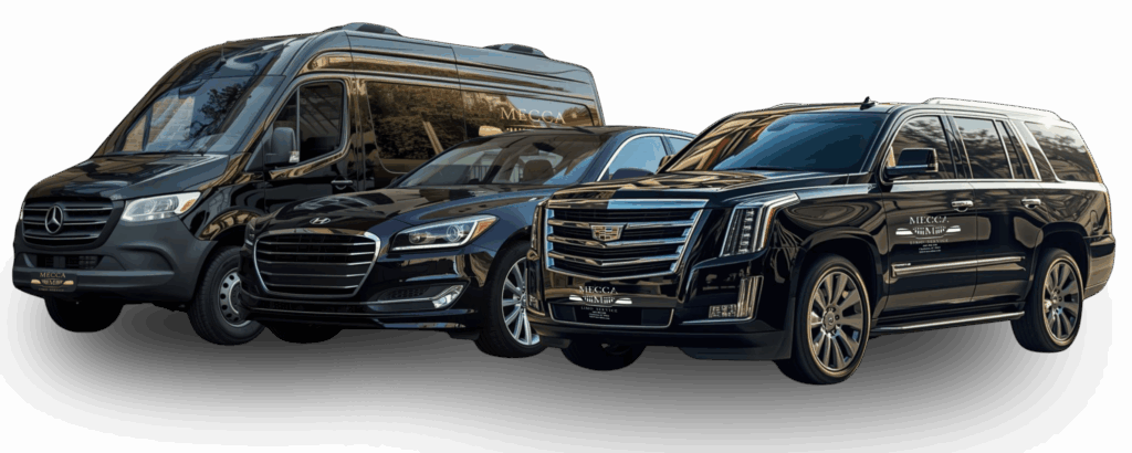 3 type car mecca limo chs